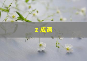 z 成语